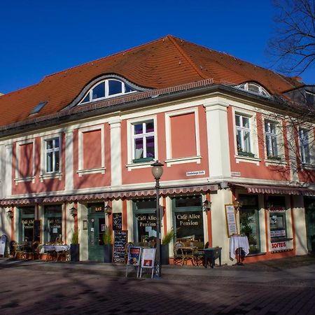 Cafe Alice & Pension Gmbh بوتسدام المظهر الخارجي الصورة