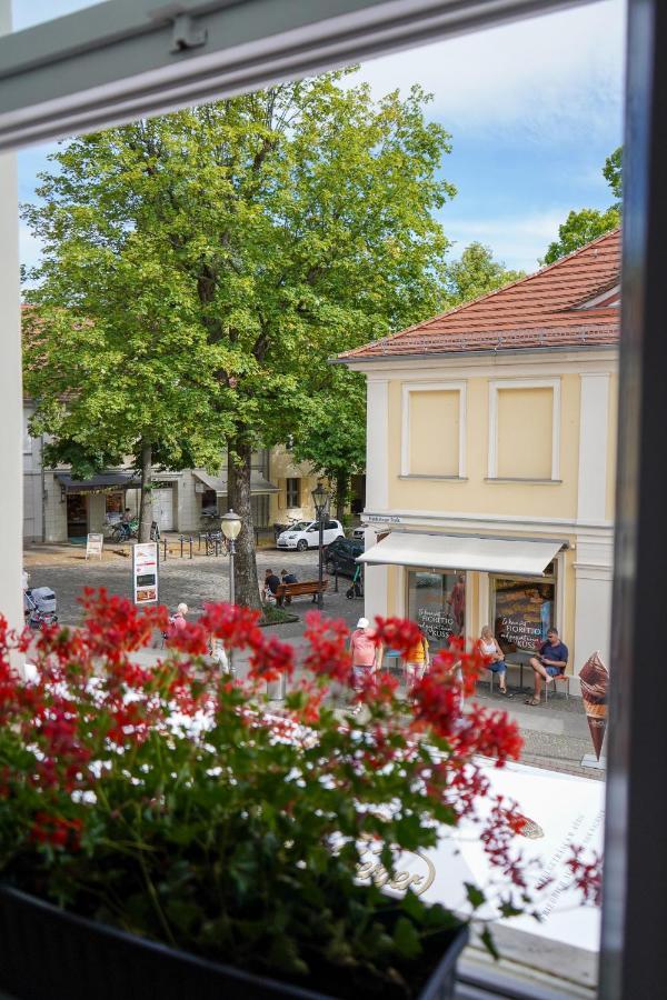 Cafe Alice & Pension Gmbh بوتسدام المظهر الخارجي الصورة