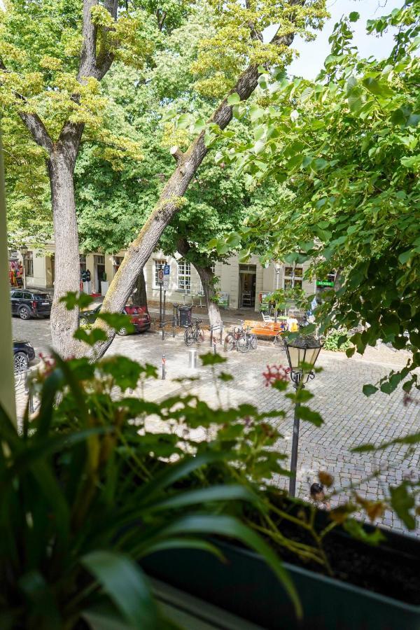Cafe Alice & Pension Gmbh بوتسدام المظهر الخارجي الصورة